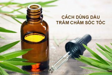 Mách bạn cách dùng dầu tràm cho tóc chắc khỏe ngay tại nhà