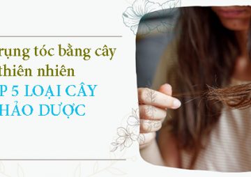 Chữa rụng tóc bằng cây thiên nhiên: Top 5 loại thảo dược giúp trị rụng tóc