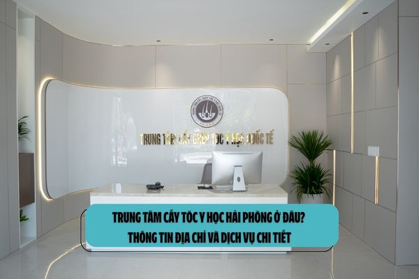 Trung tâm Cấy tóc Y học Hải Phòng ở đâu? Thông tin địa chỉ và dịch vụ chi tiết Trung tâm Cấy tóc Y học Hải Phòng ở đâu? Thông tin địa chỉ và dịch vụ chi tiết
