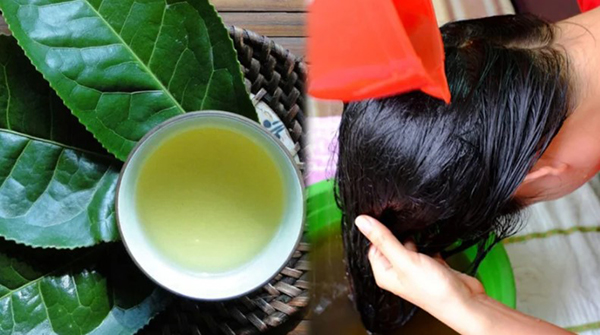 Bí quyết gội đầu cho da đầu dầu giúp sạch sâu, lấy lại mái tóc bồng bềnh