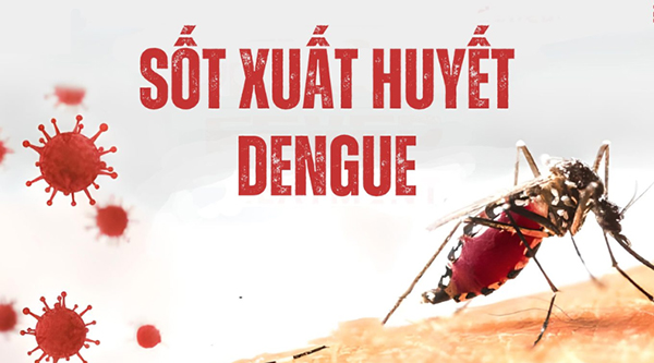 Sốt xuất huyết là gì